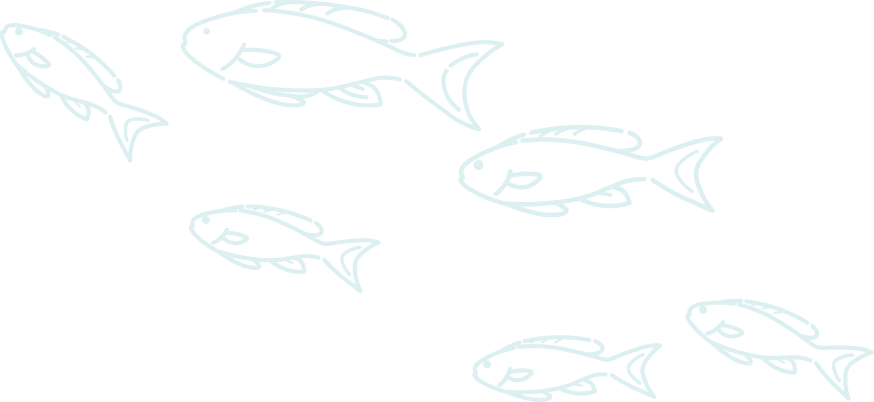 複数の魚のイラスト