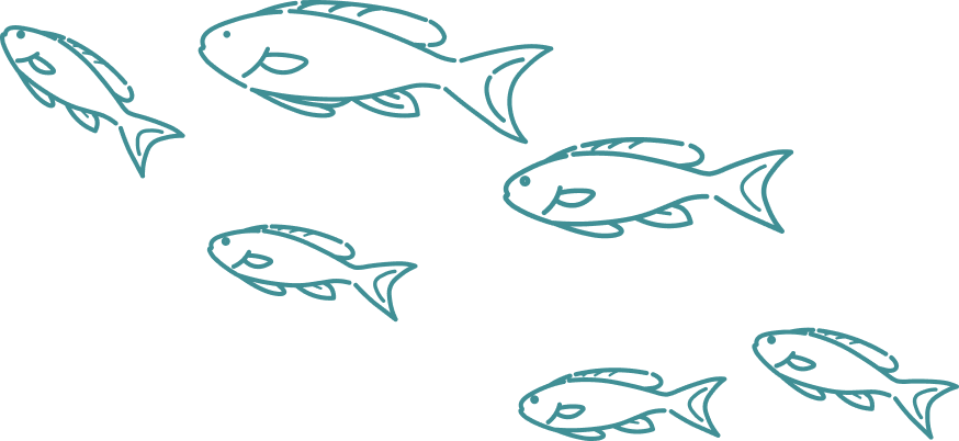 たくさんの魚のイラスト