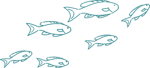 たくさんの魚のイラスト