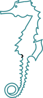 タツノコのイラスト