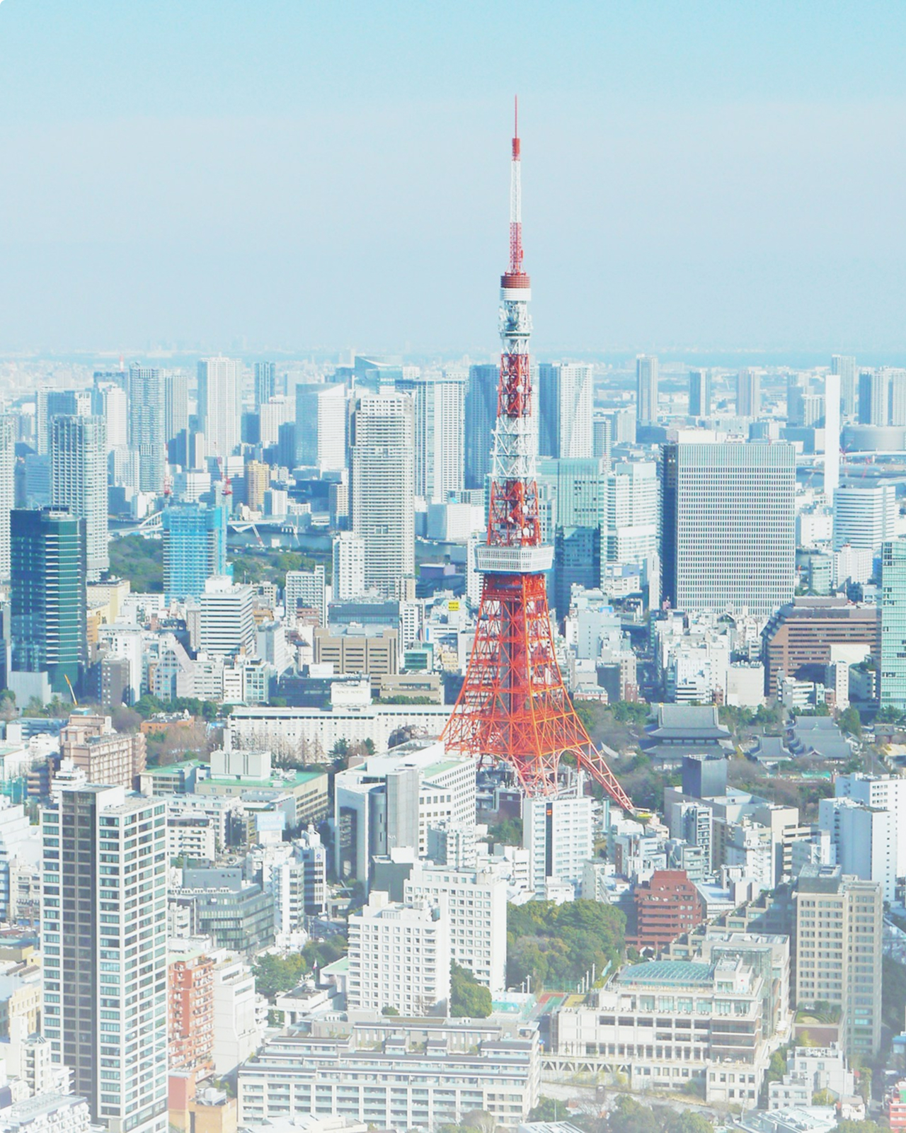 東京タワーとその界隈を高層ビルから撮影した写真